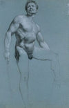 Standing Male Nude