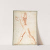 Standing Nude Man by Taddeo Zuccaro