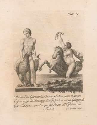 Statua d’un Ganimede; d’incerto Autore; sotto il nuovo Cafino verso la Fortezza di Belvedere