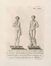 Statua in marmo d’un David; di Lodovico Salvetti