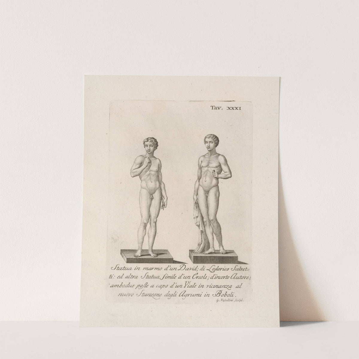 Statua in marmo d'un David; di Lodovico Salvetti by Gaetano Vascellini