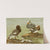 Steamer Duck (1922-1926) by Allan Brooks