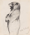 Stehender Bär (1910)