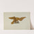 Stern Piece - Eagle by Mary E. Humes