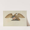 Sternpiece - Eagle by Al Curry