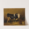 Stier im Stall by Edmund Mahlknecht