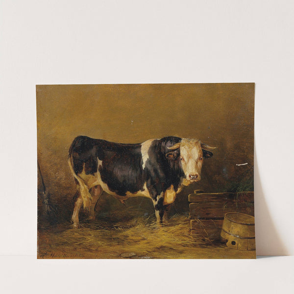 Stier im Stall by Edmund Mahlknecht