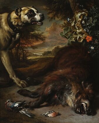 Still life