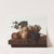 Still Life by John Johnston