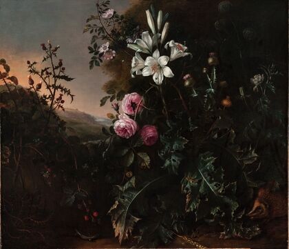 Still Life