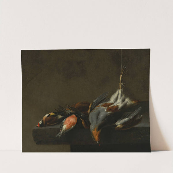Still Life of Dead Birds by Jan Vonck