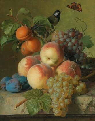 Still life of peaches, grapes and plums on a stone ledge with a bird and a butterfly — size preview