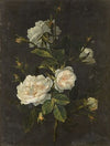 Still life of roses
