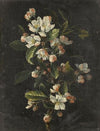 Still life of tulips