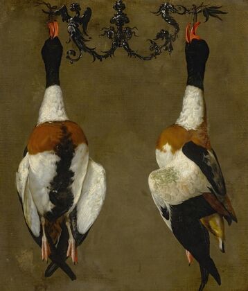 Still life of two shelducks hanging from their bills