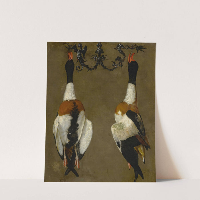 Still life of two shelducks hanging from their bills by Cesare Dandini