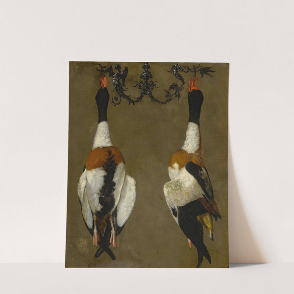 Still life of two shelducks hanging from their bills by Cesare Dandini
