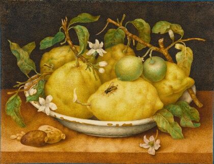 Still Life With Bowl Of Citrons