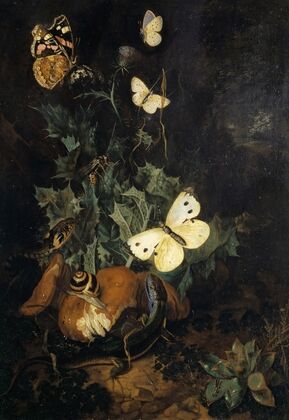 Still Life With Butterflies, Lizard And Snake