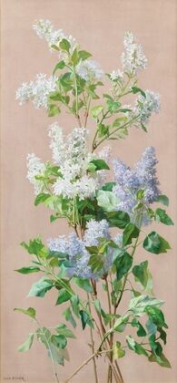 Still life with flowers