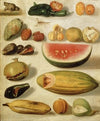 Still Life With Fruit (With Scorpion And Frog)