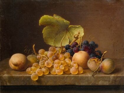 Still Life With Grapes 