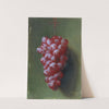 Still Life with Grapes by Carducius Plantagenet Ream