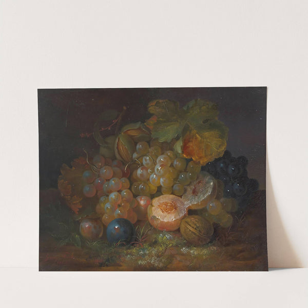 Still Life with Grapes, Plums and Almonds by George Forster