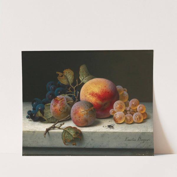 Still Life with Peach, Plums, Grapes and a Fly by Emilie Preyer