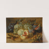 Still life with peaches and figs by Alexander Coosemans