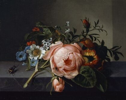 Still Life With Rose Branch, Beetle And Bee