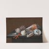 Still life with shells and coral on a table by Johann Jakob Dietzsch