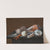 Still life with shells and coral on a table by Johann Jakob Dietzsch