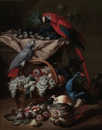 Still Life With Two Parrots, A Guinea Pig, A Basket Of Fruit And Fowl