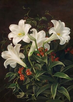 Stillleben mit weißen Lilien und blühenden Lubera-Ranken (1843)