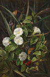 Stillleben mit weißen Winden, Schilfgras, Hagebutten und zwei Schmetterlingen (1843)