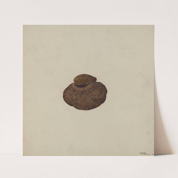 Stone Carved Out to Hold War Paint by Marie Lutrell