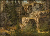 Stony Forest