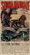 Storia naturale illustrata (1893)