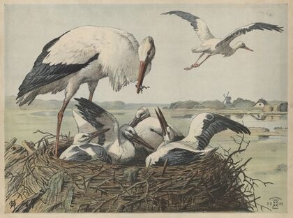 Stork (1892)