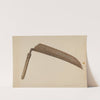 Straw Knife by Alexander Anderson