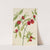 Strawberry Bush-‘Hearts Bustin’ with Love’ (Euonymus Americanus) (1930) by Mary Vaux Walcott
