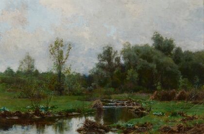 Stream Bed