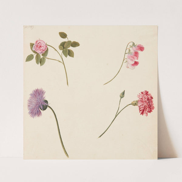 Studie af blomster (1749) by Johanna Fosie