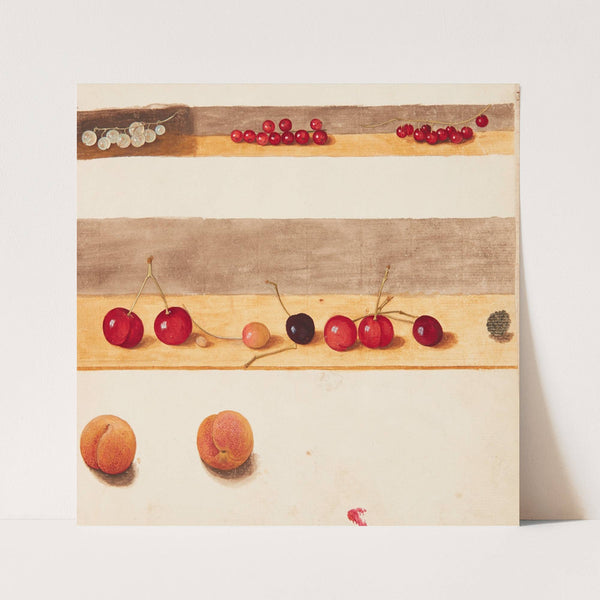 Studie af frugter og bær (1747) by Johanna Fosie