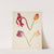 Studie af tulipaner by Johanna Fosie