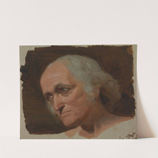 Studie des Kopfes eines grauhaarigen alten Mannes by Adolf Schrödter  