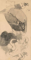 Studie van gieren