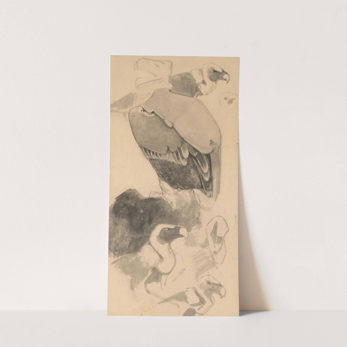 Studie van gieren (1988) by Bernard Willem Wierink