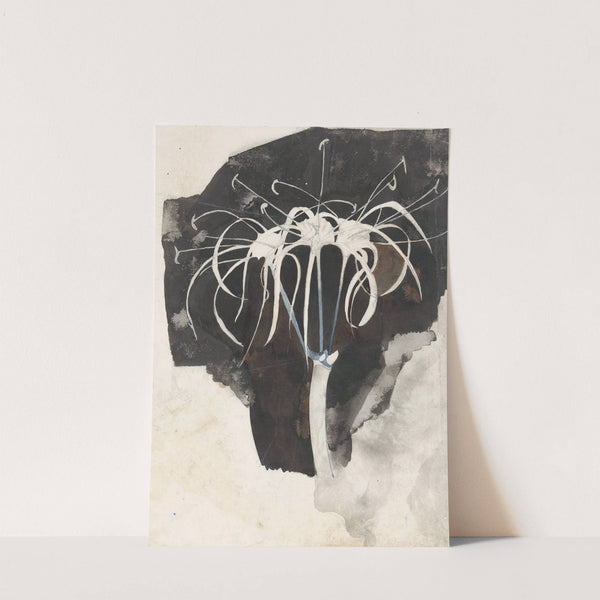 Studie van kamperfoelie (1874) by Carel Adolph Lion Cachet